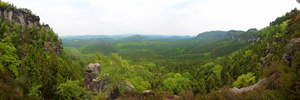 Forest of the Saxon Switzerland (VR)